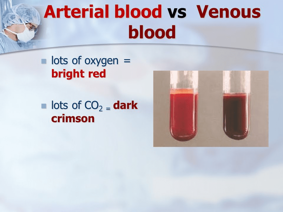 Отличие артериальной крови от венозной