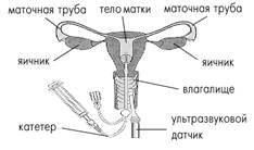 image001.jpg